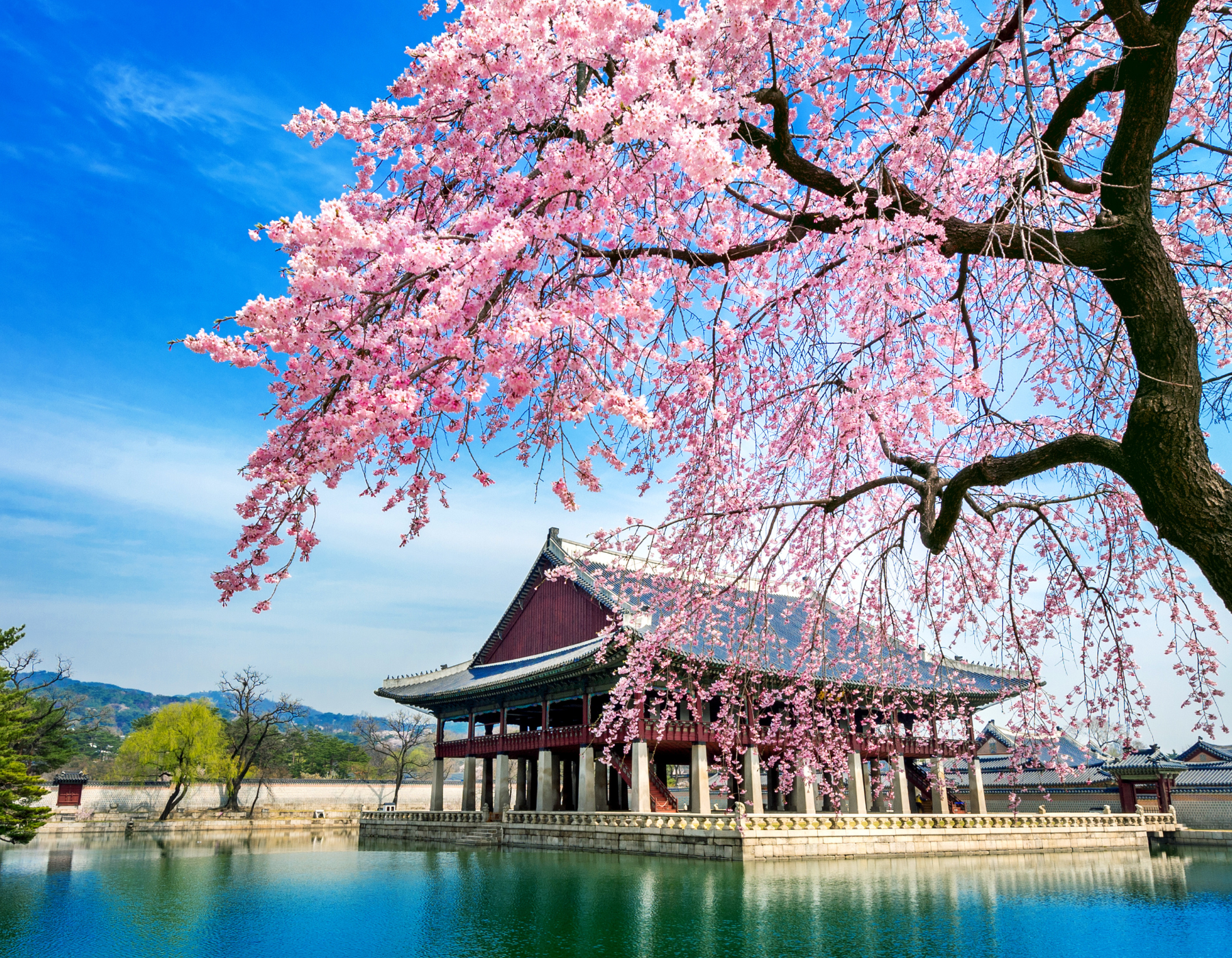 PRIVATE TOUR KOREA - WINTER HOLIDAY (NAMI + ALPACA WORLD).jpg